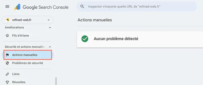 Section Actions manuelles de Google Search Console indiquant aucun problème détecté