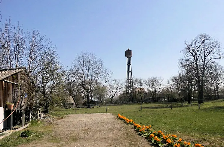 Créez votre propre site internet à Wittenheim